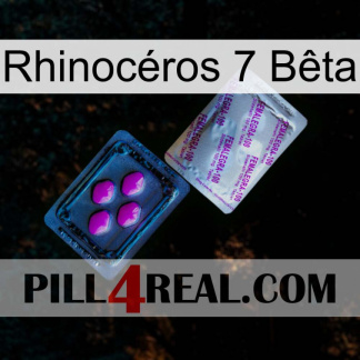 Rhinocéros 7 Bêta 37